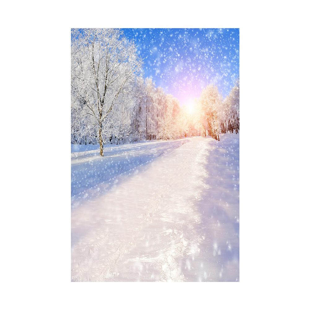 Рождественский постер со снежной сценой, фестивальные фоновые декорации для домашнего декора, вечеринок, студий, уличных празднований, свадьбы