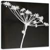 Canvas Print Flower Black & White Nature