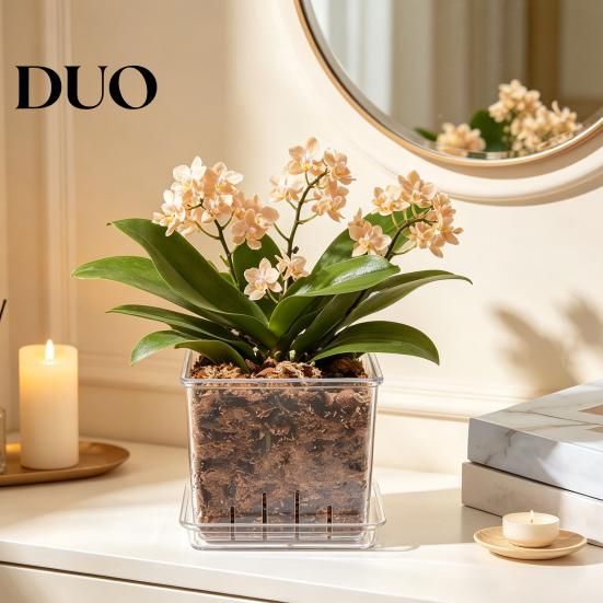 Clear Gardening Pot with Holes Orchid Planter Saucer, Square Plant Plastic Drainage Holes, Transparent Flowerpot for Phalaenopsis, Seedings Flower