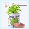 DIY Mini Potted Plant Growing Kit