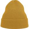 Atlantis Unisex Adult Andy Recycled Polyester Beanie