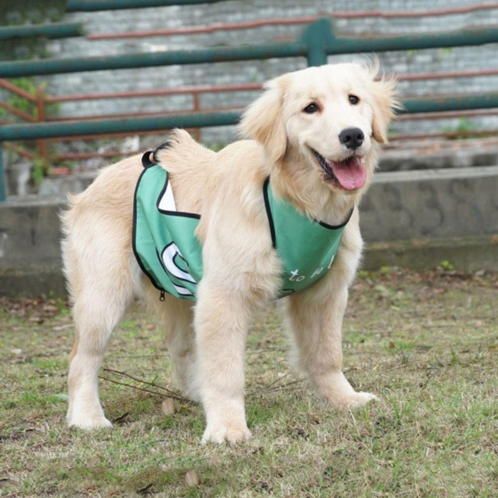 Anti Dirt Dog Bellyband Clothes Waterproof Dog Apron Dog Belly Protection Clothing Outdoor