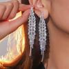 High-end Full Diamond Tassel Long Earrings for Women, Luxury Temperament Bridal Earrings