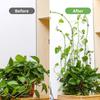 Новые невидимые клипсы для крепления растений к стене 10-50 шт. шт. Кронштейн для лозы из ротанга Фиксированная пряжка Зажимы для листьев Держатель для тяги Сад