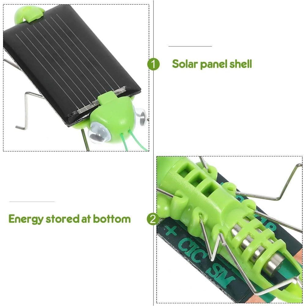 Cockroach Simulation Insect Toy Grasshopper Science Education Toy Funny Puzzle Toy  Children