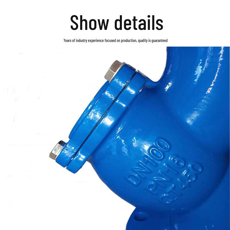 Ductile Iron Y-Type Flange Filter Valve