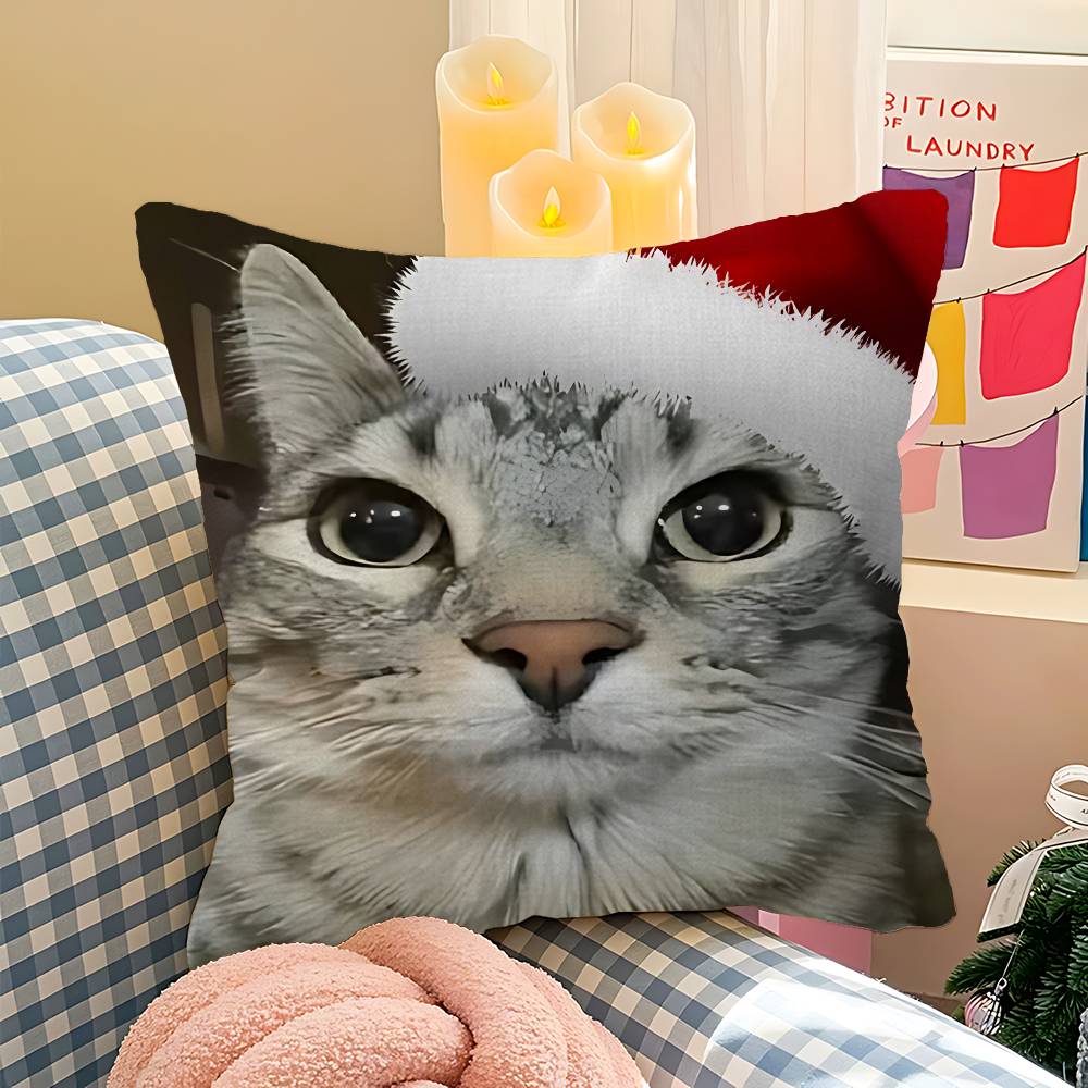 Fun Cat Meme Zazu Office Cushion Pillowcase Car Cushion CoverXCM Lumbar Pillowcase Sofa Pillowcover