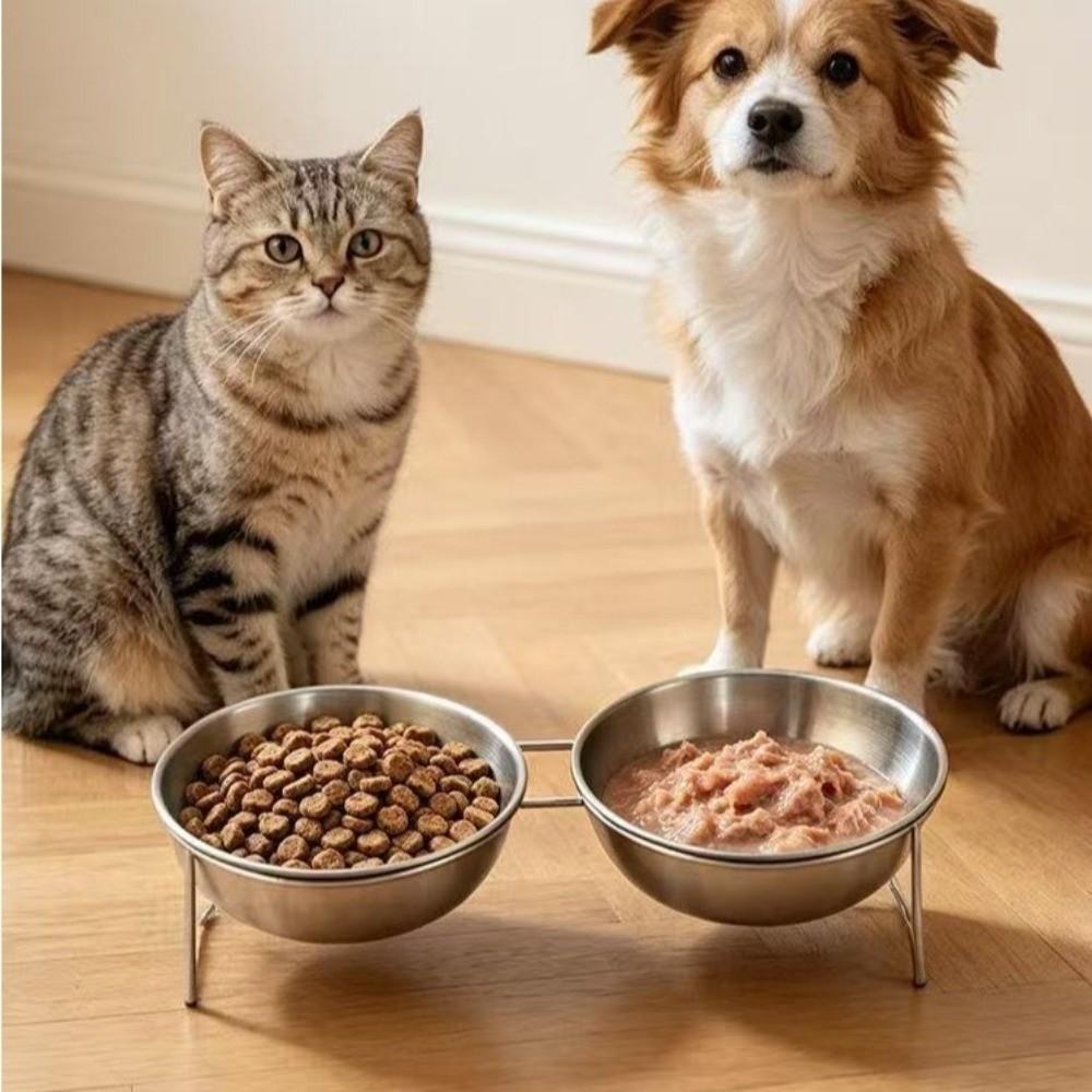 Large Capacity Stainless Steel Cat Bowl Anti-Tipping Double Water Bowls for Kitten