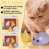 Remote Control Mouse Infrared Remote Control Simulation Animal Pet Toy
