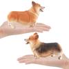 Realistic Corgi Dog Figure Pvc Static Model Toy For Animal Enthusiasts And Collectors