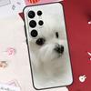 Cartoon Maltese Dog Case For Samsung Galaxy S25 FE S23 FE S20 S21 S22 S24 S25 S26 Ultra S10 S25 Plus Cover Shell