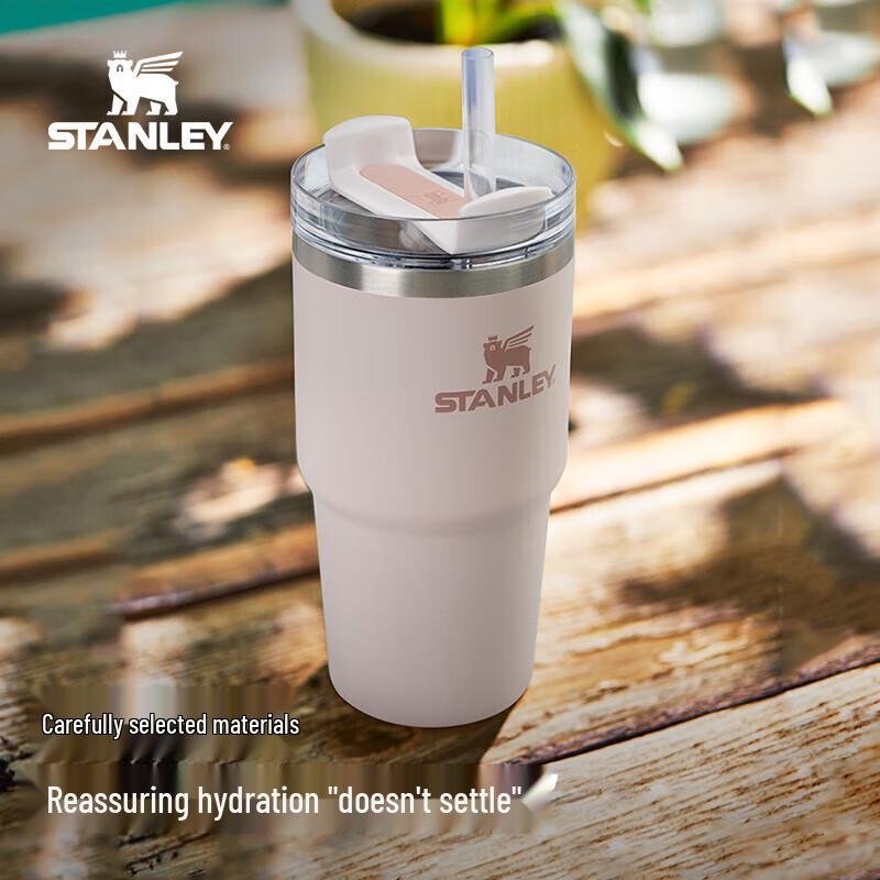 STANLEY Adventure H2.0 Stainless Steel Vacuum Straw Tumbler
