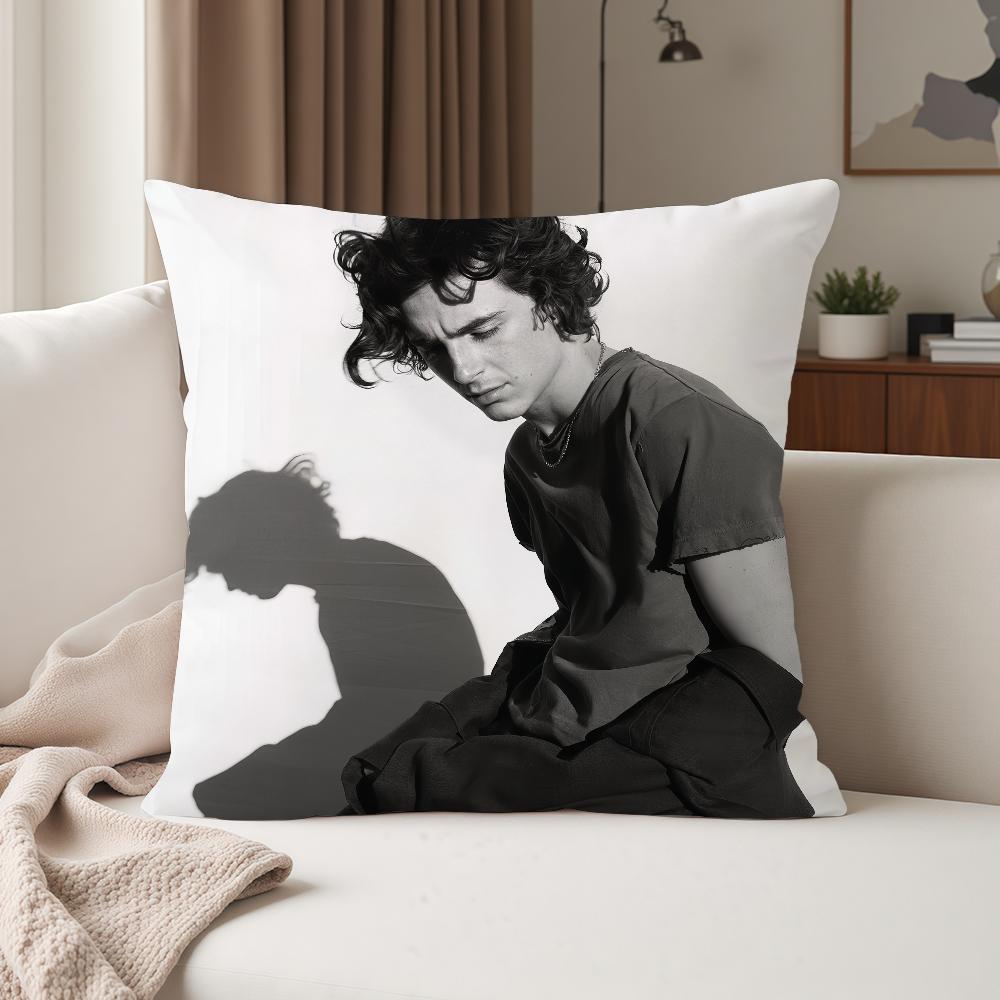 Actor Timothee Chalamet Pillow Case Suitable For Bedrooms Living Rooms Cars Home Decoration