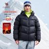 Camel Volcano Goose Down Hooded Jacket (2025 Edition)