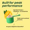 Plix Strength Растительный протеиновый порошок Манго 1 кг Безмолочный Фитнес-шейк с полным аминокислотным профилем Для активного образа жизни