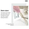 8 шт. искусственная пампасная трава высотой 21,6 дюйма, цветочные большие искусственные помпезные травяные ветки, растения для напольной вазы, наполнитель для домашнего декора в стиле бохо