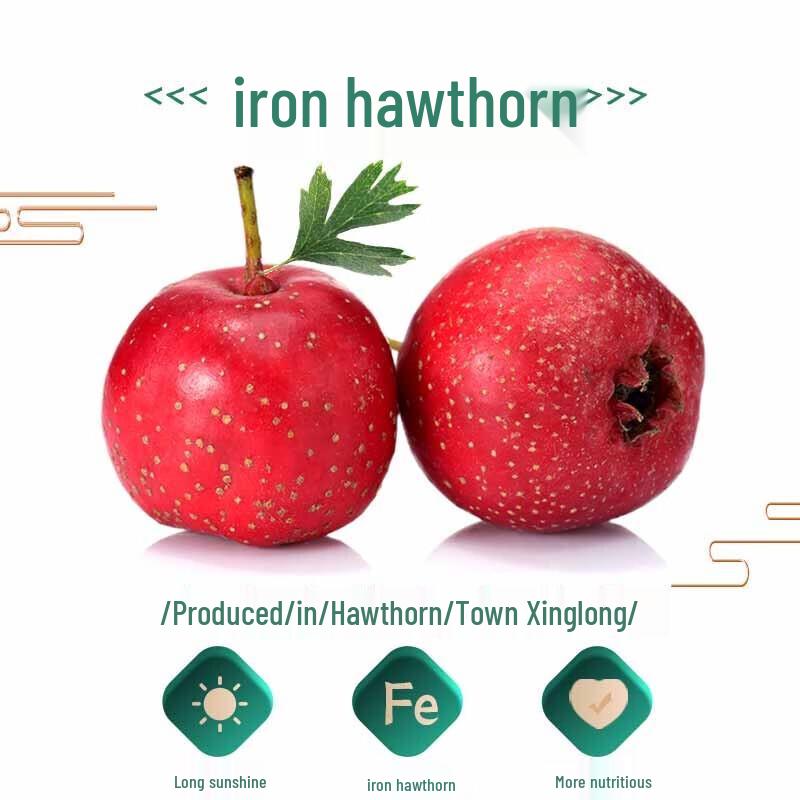 Juyuan Hawthorn Snacks