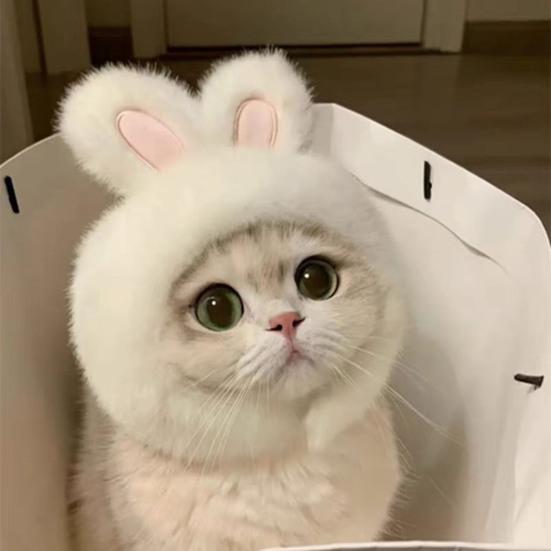 Cute Animal Cat Hat Cats Fuzzy Bunny Pig Panda Design Hat Fun White Goose Hat Adjustable Headwear for Kittens Festive Party Costume Accessory