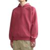 Carhartt Wip Chase hoodie CHXSWF23I384L-1