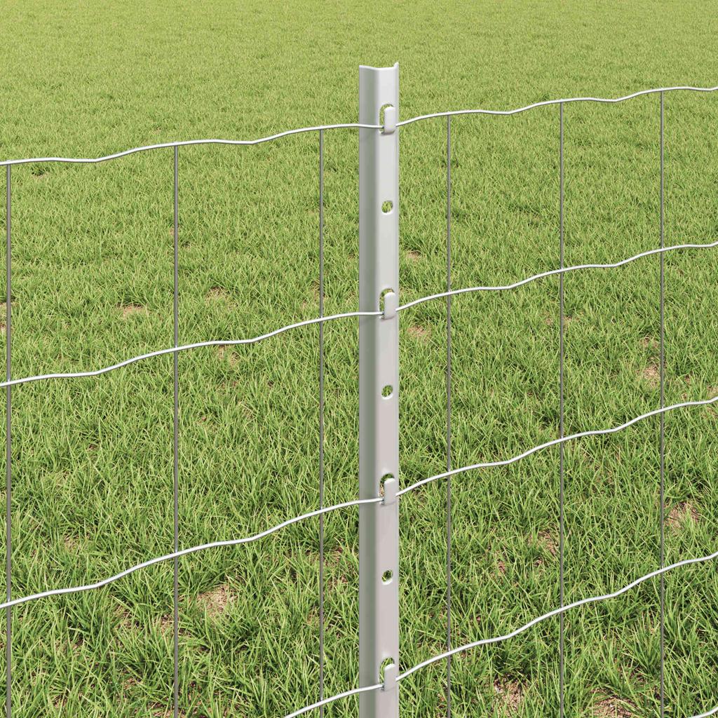 Welded Wire Fence 10 x 0.6 m (W x H) Hot Dip Galvanized Steel