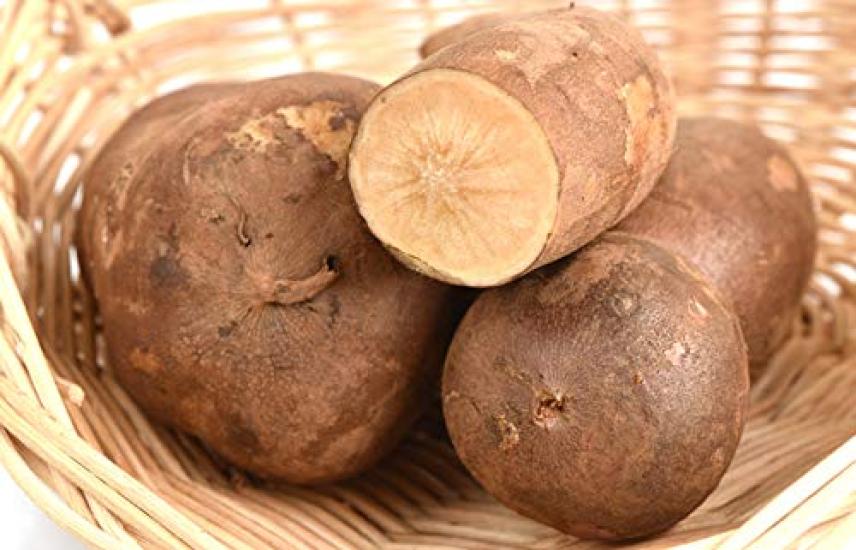 Порошок якона отечественного производства 50 г x 6 пакетиков в наборе Произведено в префектуре Аомори, чайный магазин Sugamo, Yamatenen, без пестицидов, 100% без кофеина