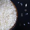 Longguxiang Northeast Small Grain Rice