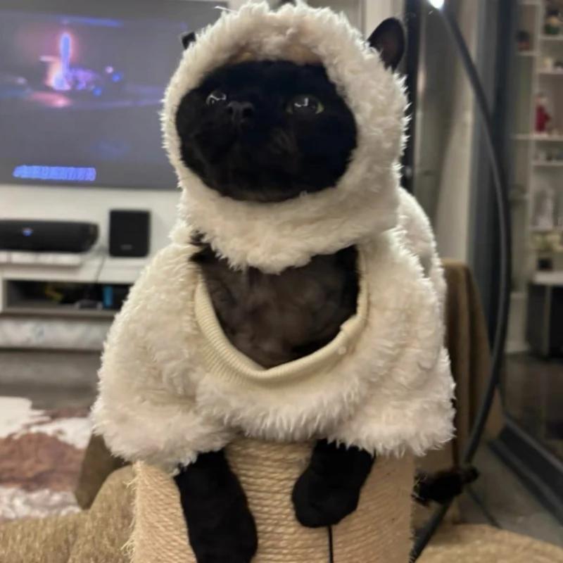 Косплей Овечки Одежда для Кошек Фантазия Забавная Одежда для Кошек Худи Костюм Питомца Кот Карнавальный Костюм Свитер Питомцы Маскировка Аксессуары