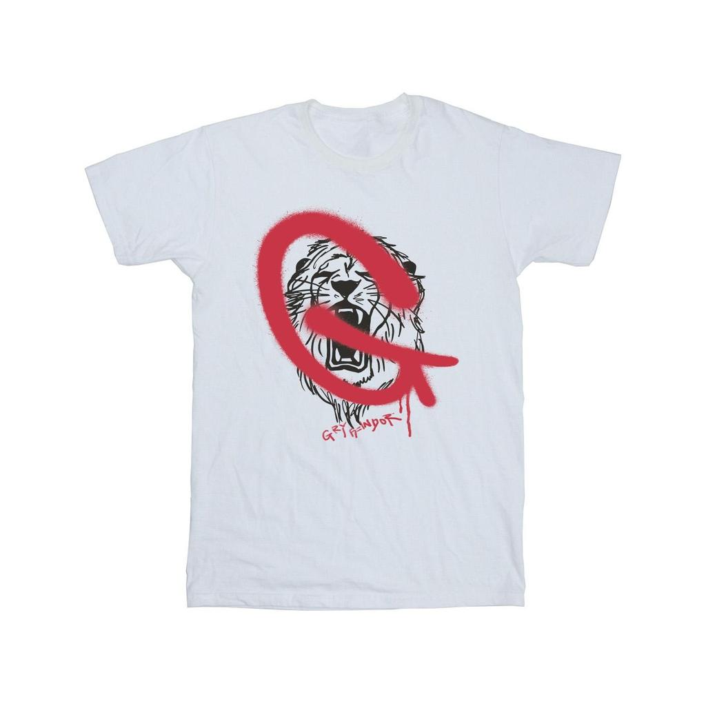 Harry Potter Mens Gryffindor Pop Spray T-Shirt