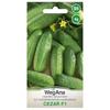 Ground Cucumber Cezar F1 Seeds 4g Vegetable Seeds -