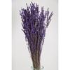 Ударопрочный, устойчивый к разливу, настоящий букет лаванды, фиолетовый (100 грамм)