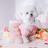 Soft Dog Lace Skirt Princess Style Summer Dog Clothes Cute Puppy Clothes  Cat Accessories