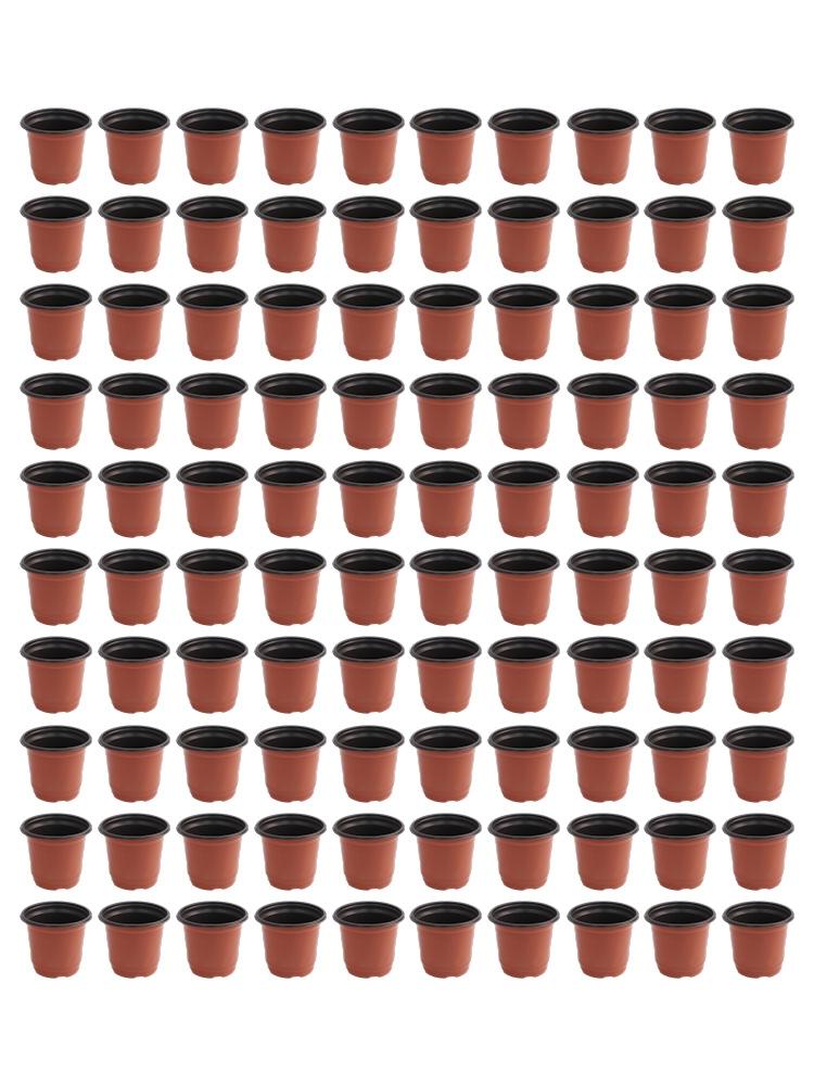 100 Round Plastic Transplant Pots for Herbs and Cuttings In Red and Black