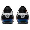 Nike Tiempo Legend 10 Elite Золотое касание  FJ2515-900