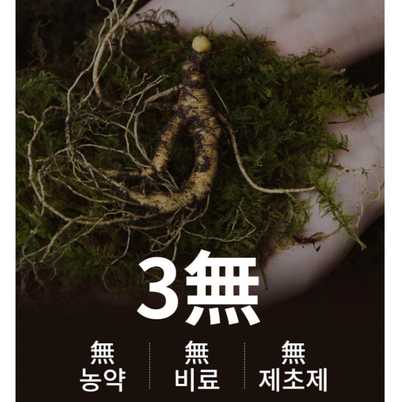 8-year-old Wild Ginseng Containing the Spirit of Gangwon-do