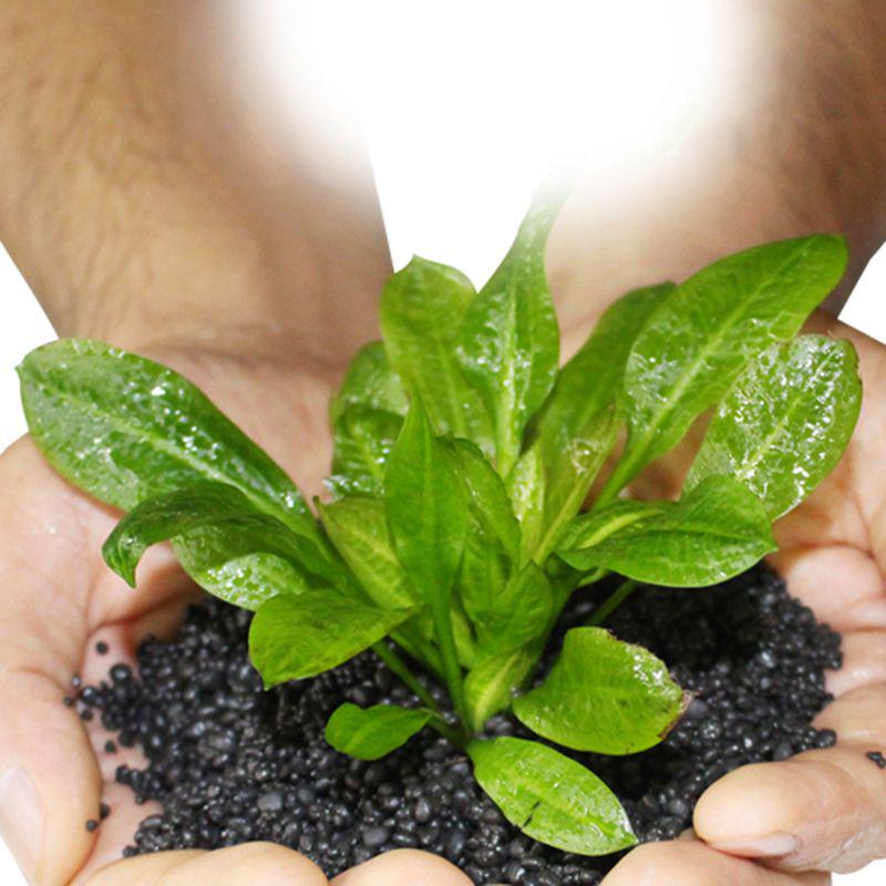 Safe & Non-toxic Aquarium Gravel, Decoration for Freshwater Aquarium, Solid Black, 100g