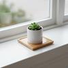 Blumentopf-Abtropfschale Mehrere Formen Bambus Wasserdicht Rund Pflanzenschale für Innen,