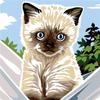 Kit Canevas complet Le Petit chat siamois 14 x 18 cm