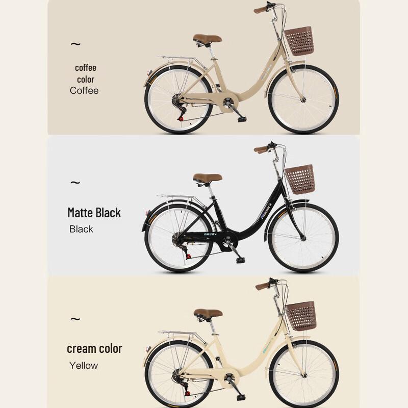 FG Flying Pigeon Commuter Bicycle