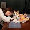 Милая мягкая игрушка Акита-ину Kawaii Shiba Inu, плюшевая игрушка-животное, имитация трубы, кукла для собак, детский комфортный сон, кукла, подарок на день рождения для девочки