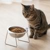 Stainless Steel Elevated Pet Bowl 15 Degree Inclined Pet Feeder Container  Wet Dry Food