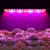 LED Grow Light 1-5Pcs T5 Tube Full Spectrum Phytolamps With Switch Cable EU Plug For Plants Vegetable Flowers Seeds Phyto Seedling Lamp Grow Tent Lamp