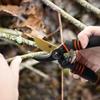 Pruning Shears, Garden Shears,Professional Bypass Pruner Hand Shears Heavy Duty, Garden Clippers,8" Hand Pruners with Foam-Grip Handles,Plant Cutting