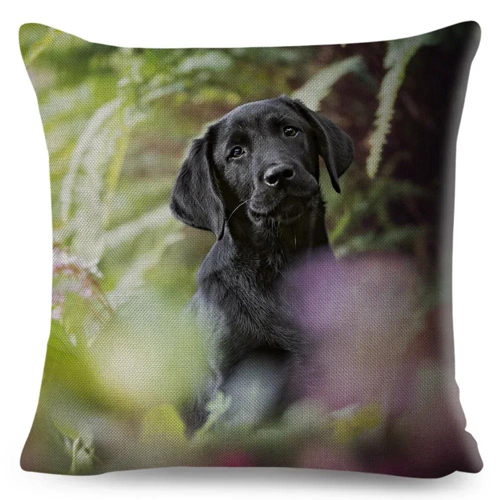Cute Black Labrador Dog Double-Sided Printed Pillow Cover Short Plush Suitable Living Rooms Bedrooms Sofas Throw Cushion Cover