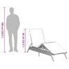 Grey Sun Lounger with Cushion Poly Rattan