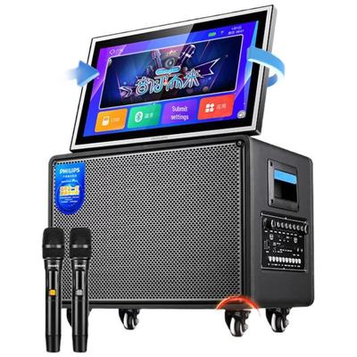 Philips SD249MAX Портативная KTV Караоке Колонка «Все в одном» с китайской вилкой (адаптер в комплекте)