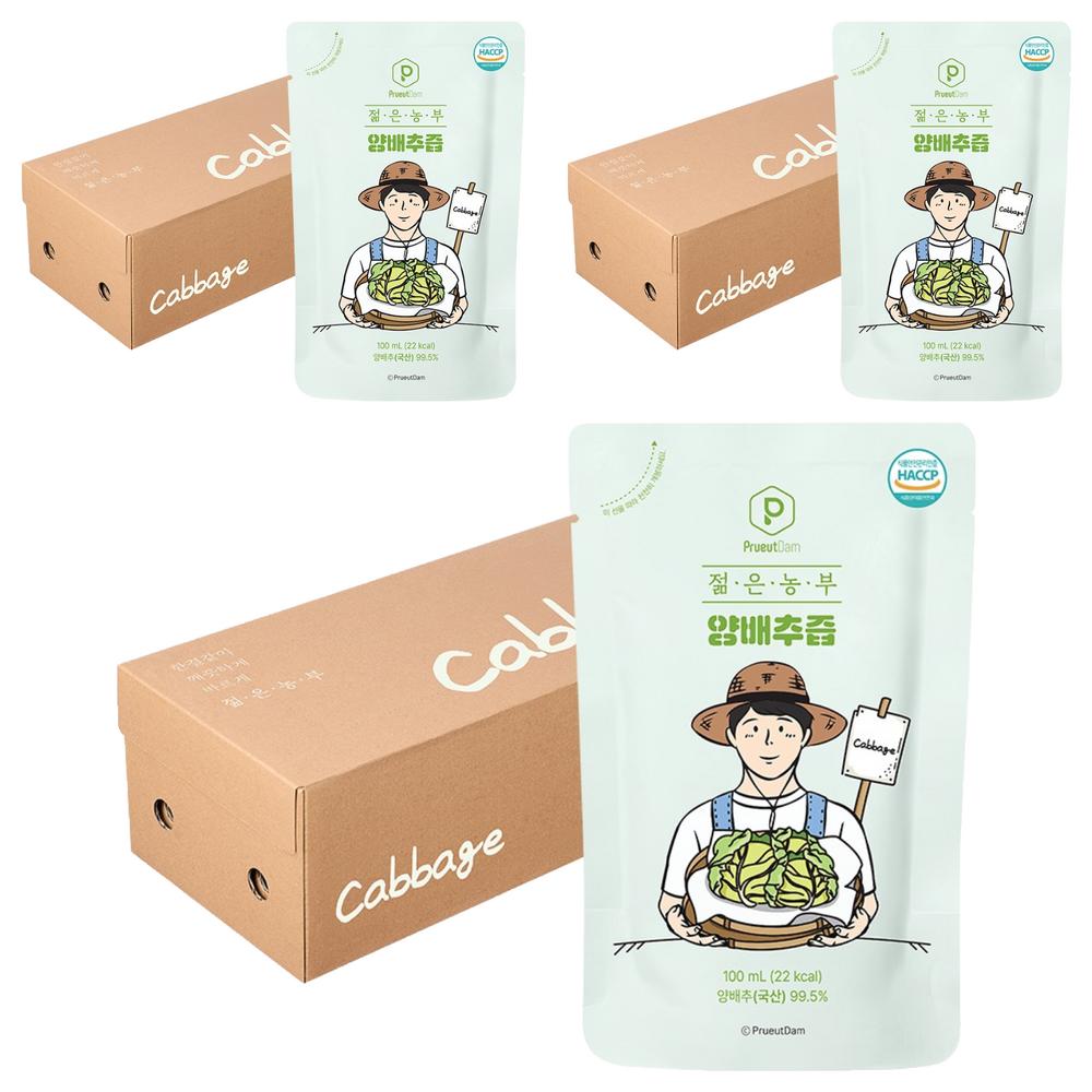 Purutdam Young Farmer Cabbage Juice 3L 3 pcs