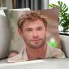 Movie Chris Evans Cushion Cover Cushion Cover Set 4Pcs 50X50 45X45 40X40 Pillowcase Decorative Sofa Home Decor