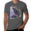 Warriors Cinderpelt Drawing Tshirt Plus Size Gym Sports Tshirt