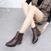 Мода 2024 года, новые осенне-зимние ботинки телесного цвета большого размера, женские остроносые толстые каблуки с коротким рукавом, удобные кожаные ботинки на молнии
