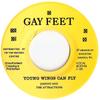 7-дюймовая пластинка JOHNNY THE ATTRACTIONS Young Wings Can Fly NONE Gay Feet UK Reggae Ska Dub Б/у